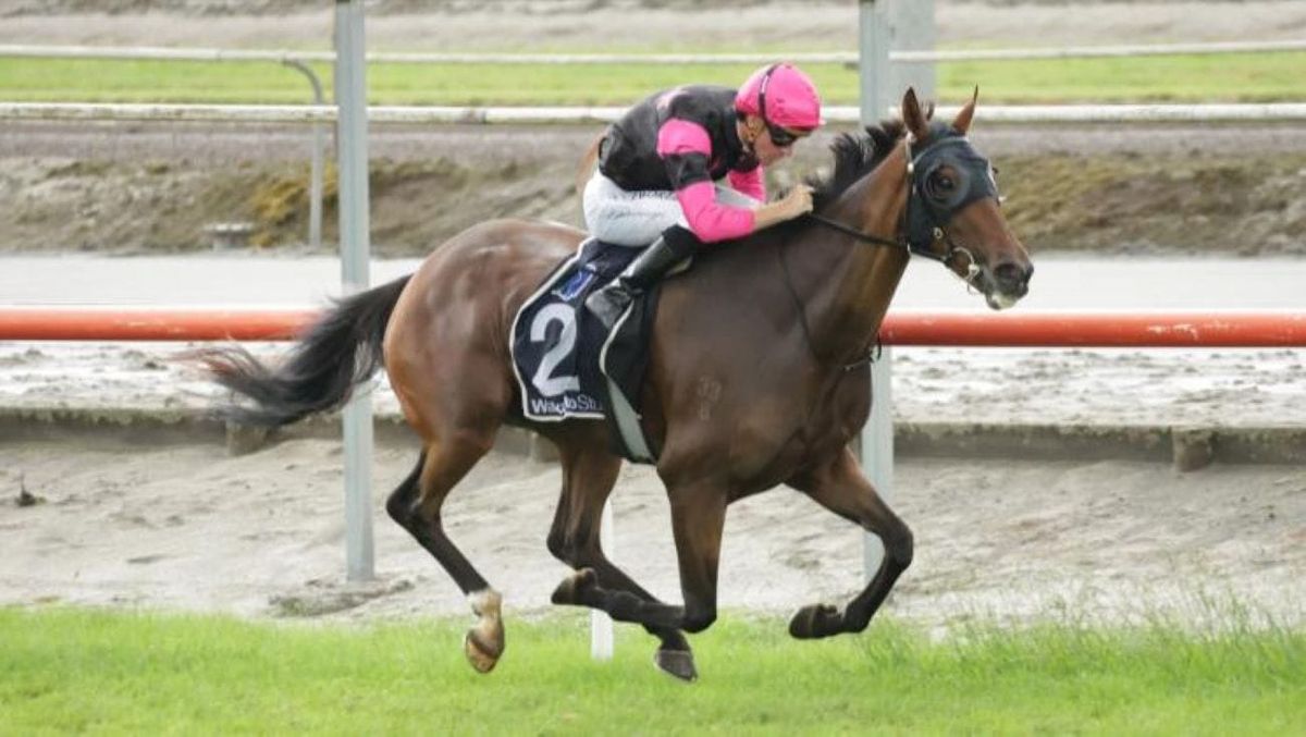 Jumping future beckoning Diamond Jak