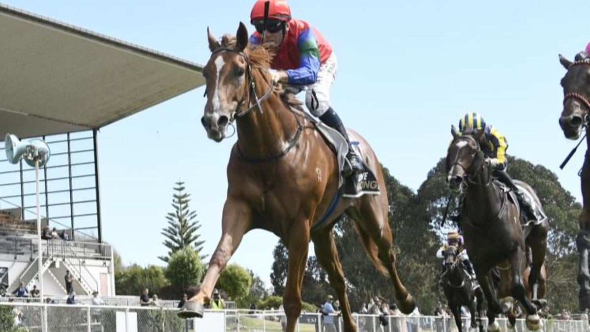 Tuhikaramea barn hold strong hand at Cambridge