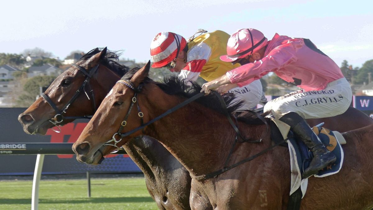 Free Bird fulfils middle distance promise