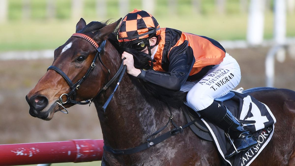 Flying filly dominates her Tauranga opposition