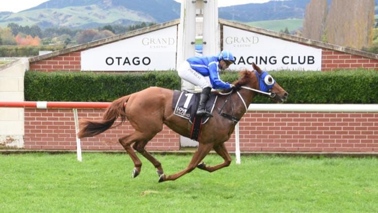 Strobe Light seeking to shine at Wingatui