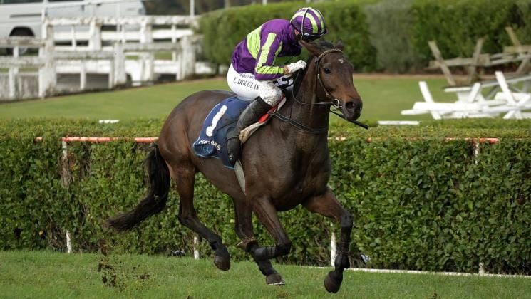 Lord Spencer dominant in maiden steeplechase triumph