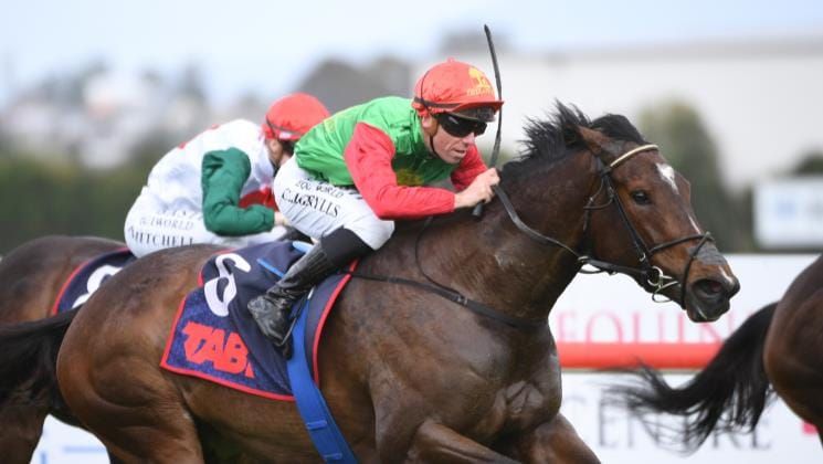 Smart mare progressing well toward stakes goal