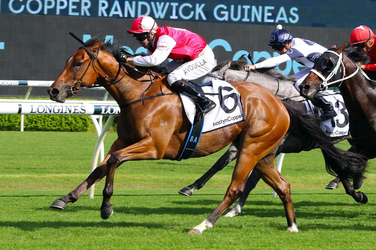 Half to Lion’s Roar Headlines Supplementary Catalogue