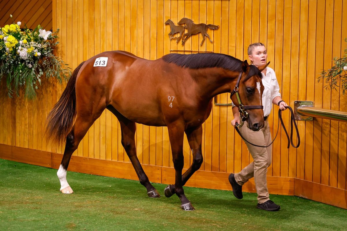 Entries Open for Karaka 2027