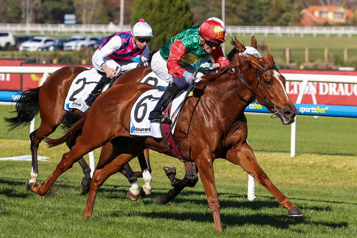 Hayes Mad for a change of luck with mare