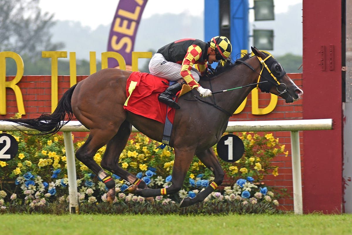 Mega Ace on target in 3YO Sprint Championship