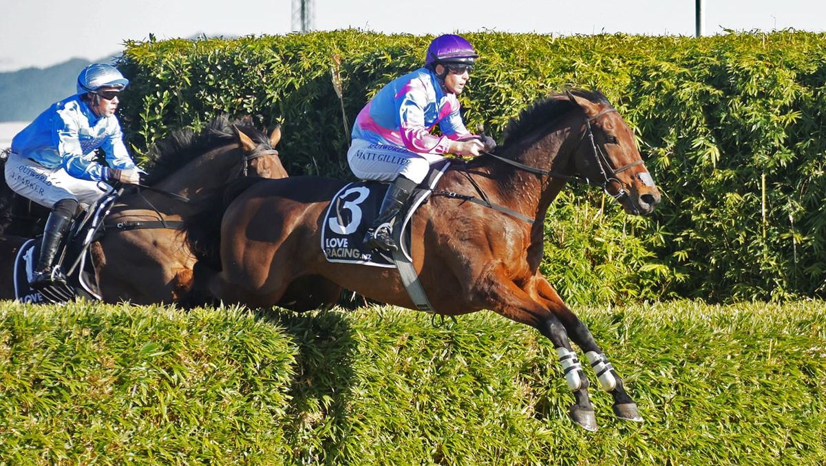 Nedwin scores gallant victory in Waikato Steeplechase