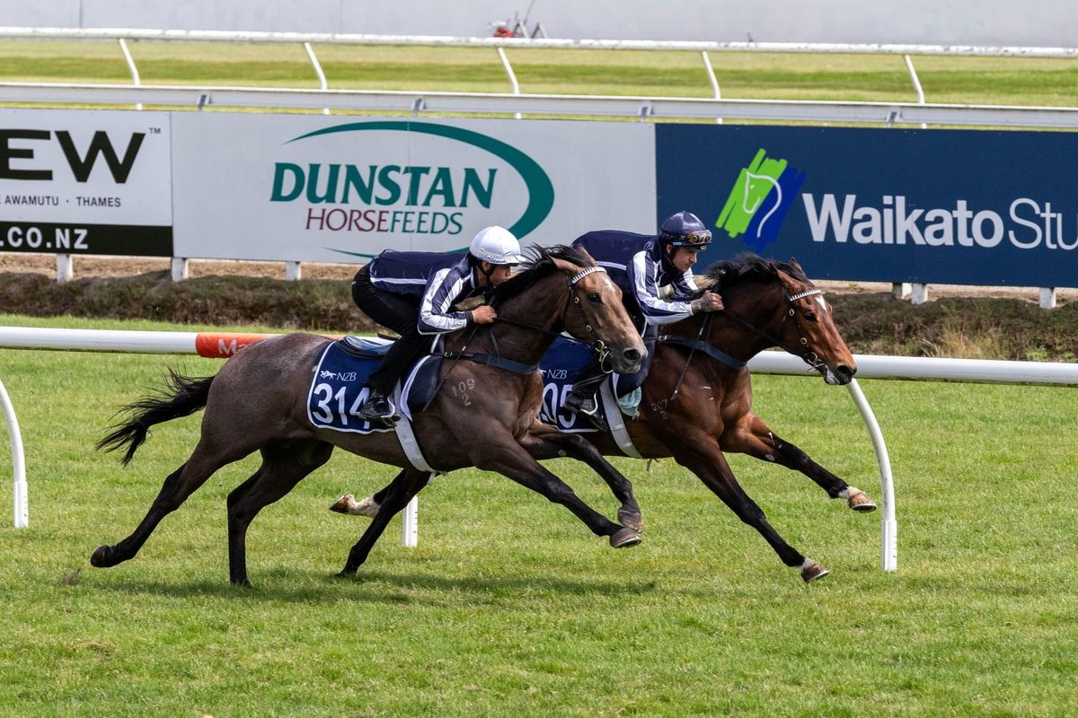 Entries Open for World’s Leading 2YO Sale