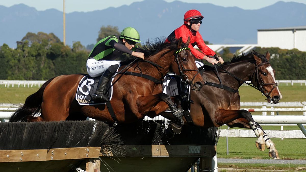 Pacheco takes out thrilling Waikato Hurdle
