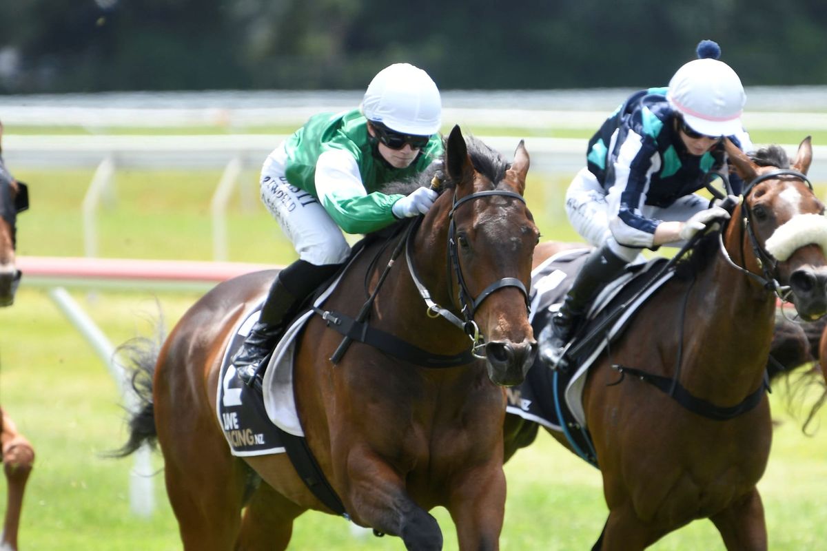 Predominance on the comeback trail