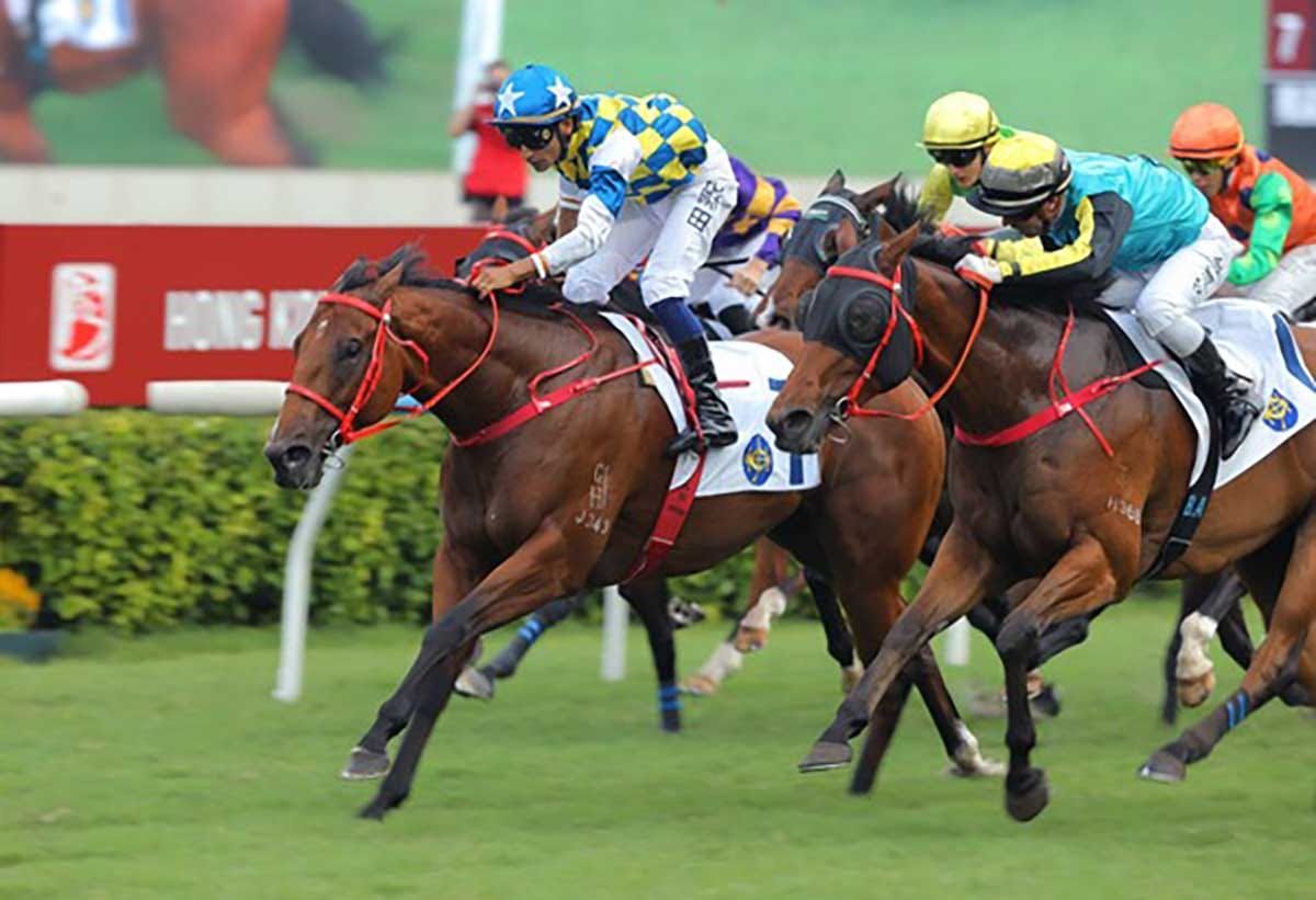 Patch Of Stars shines bright to continue meteoric rise in Sha Tin Vase
