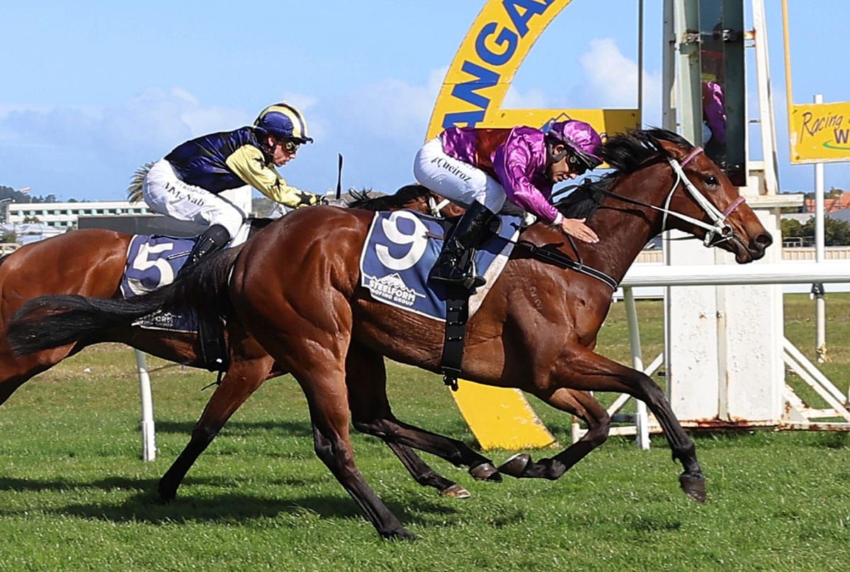 Platinum Diamond to renew rivalry with Churchillian
