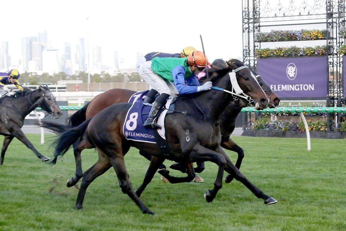Roadcone navigates alternate path to Flemington win