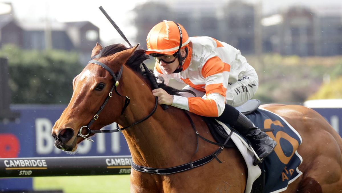 Double delight for Bradley at Ellerslie