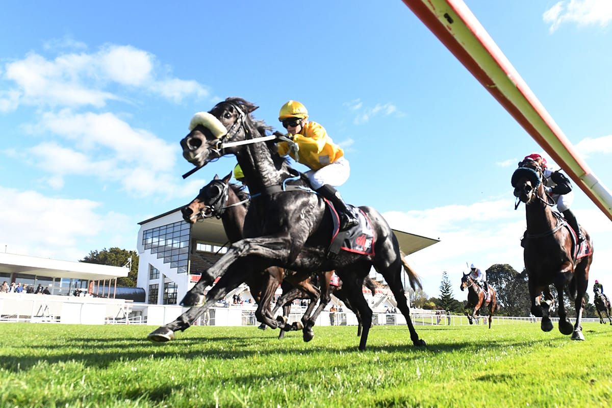 Tyro trainer enjoying top debut season