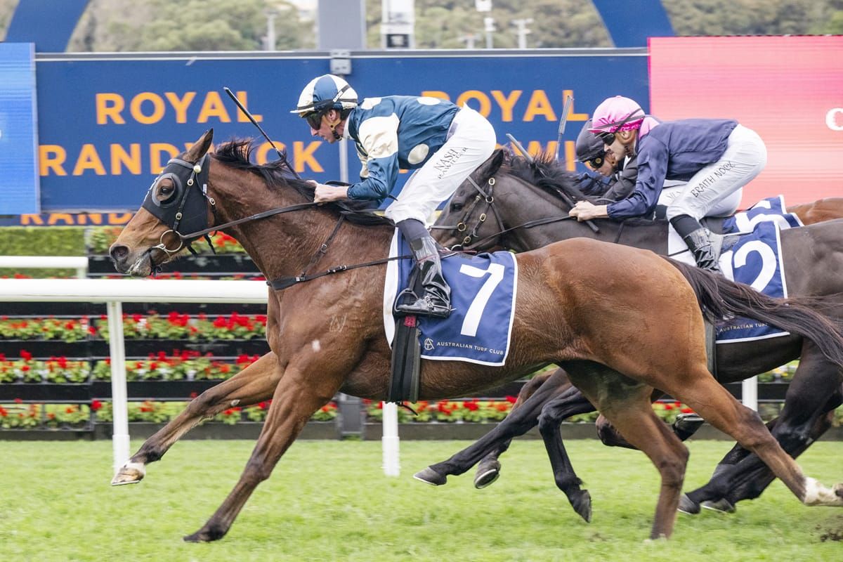 Sunshineinmypocket flies home for timely win