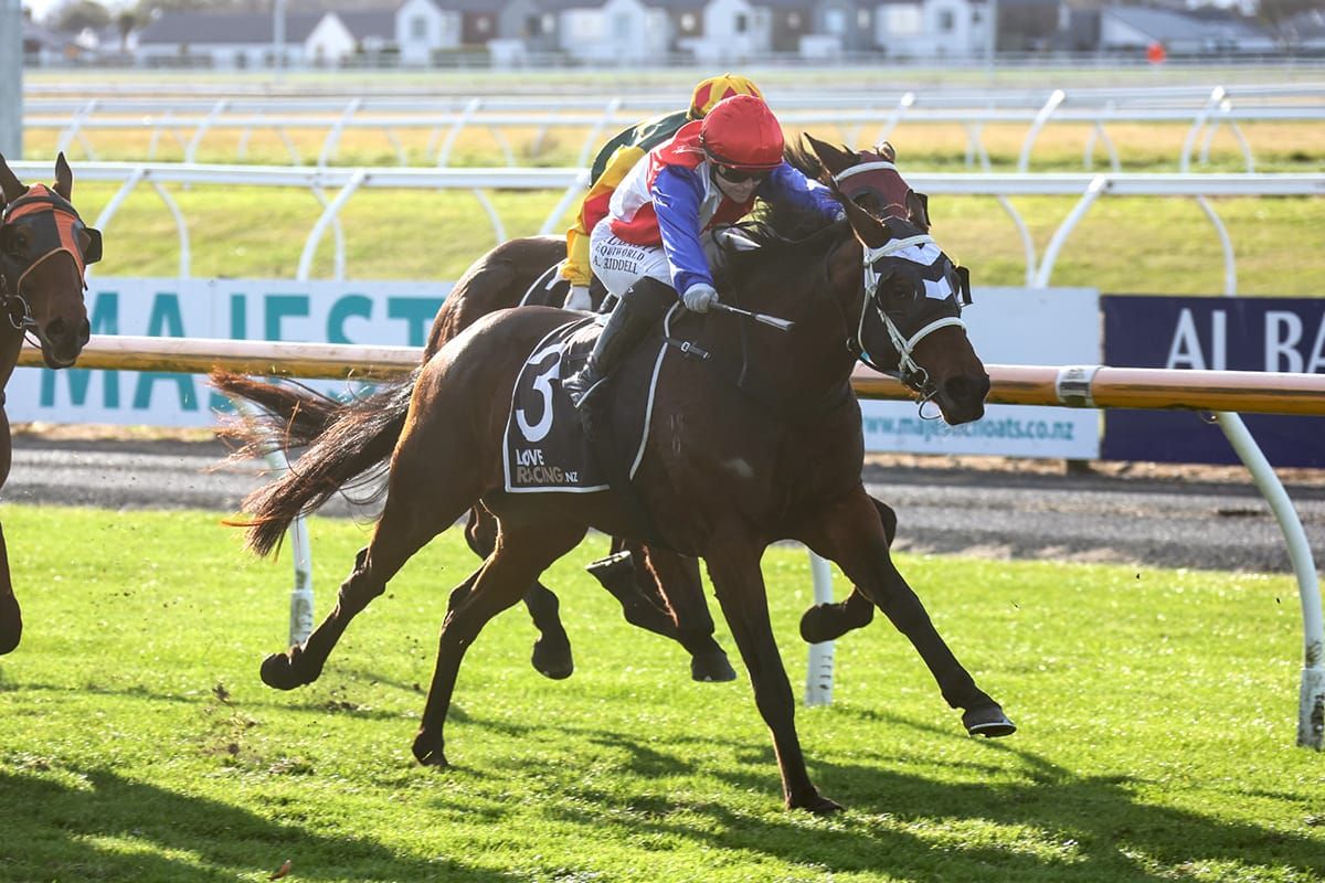 Southern raider captures Amberley Cup
