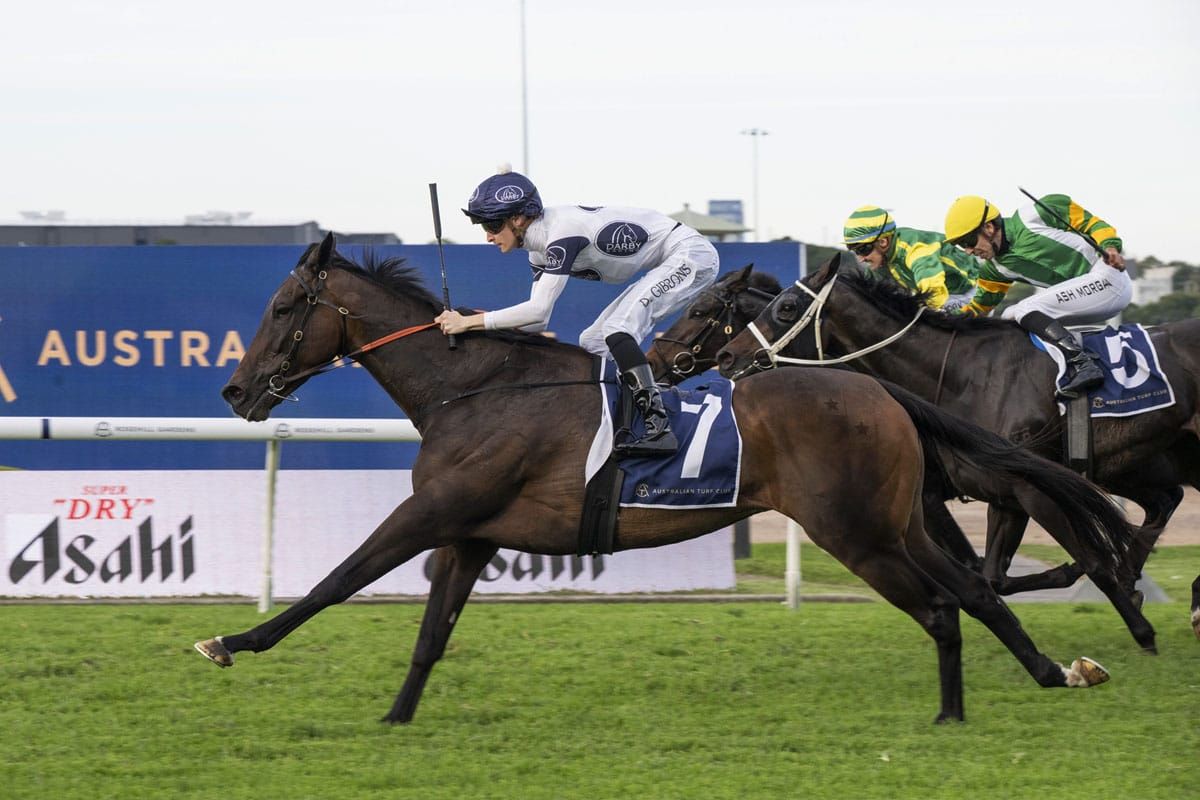 Thebudgiesmugla adds Queen Elizabeth II Cup to perfect 2400m record