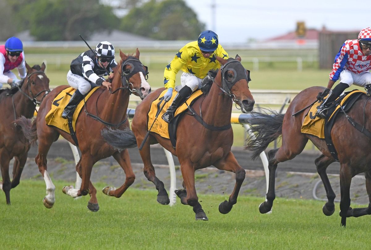 Urenui to appreciate rain-affected going