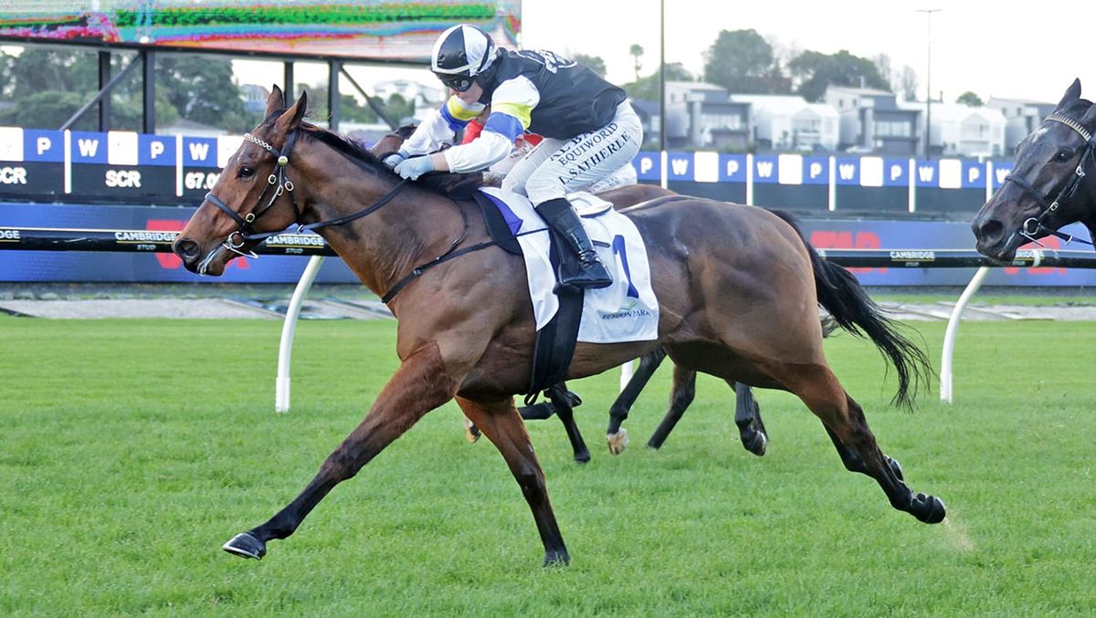 Wine Rocs salutes at Ellerslie