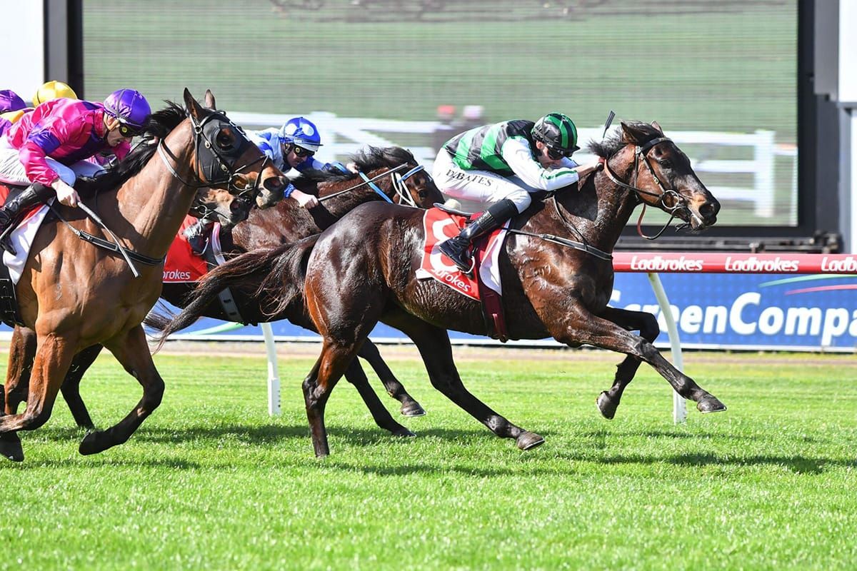Pride’s three-pronged Winter Stakes attack