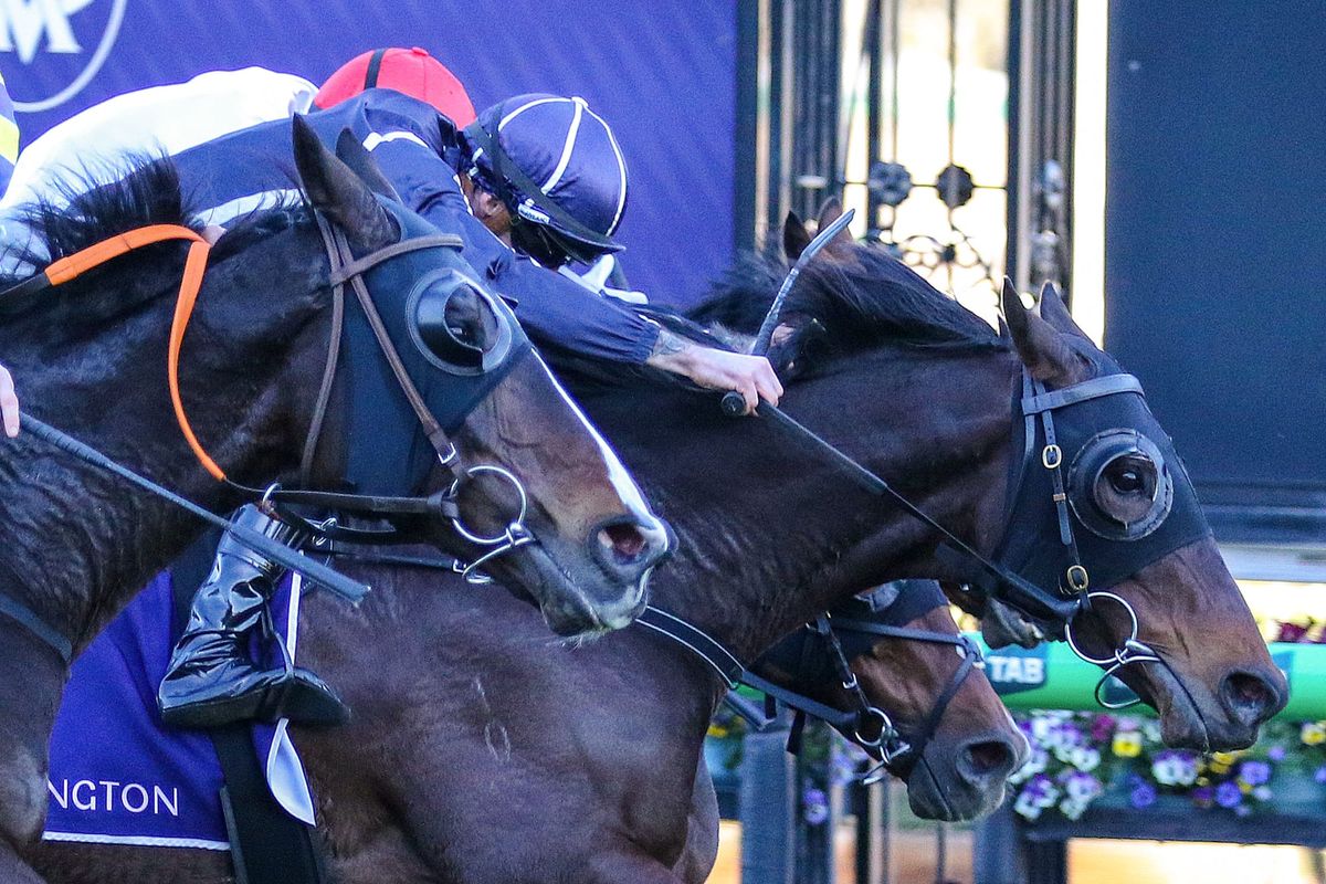 Bold Soul turns the tables in Flemington Cup