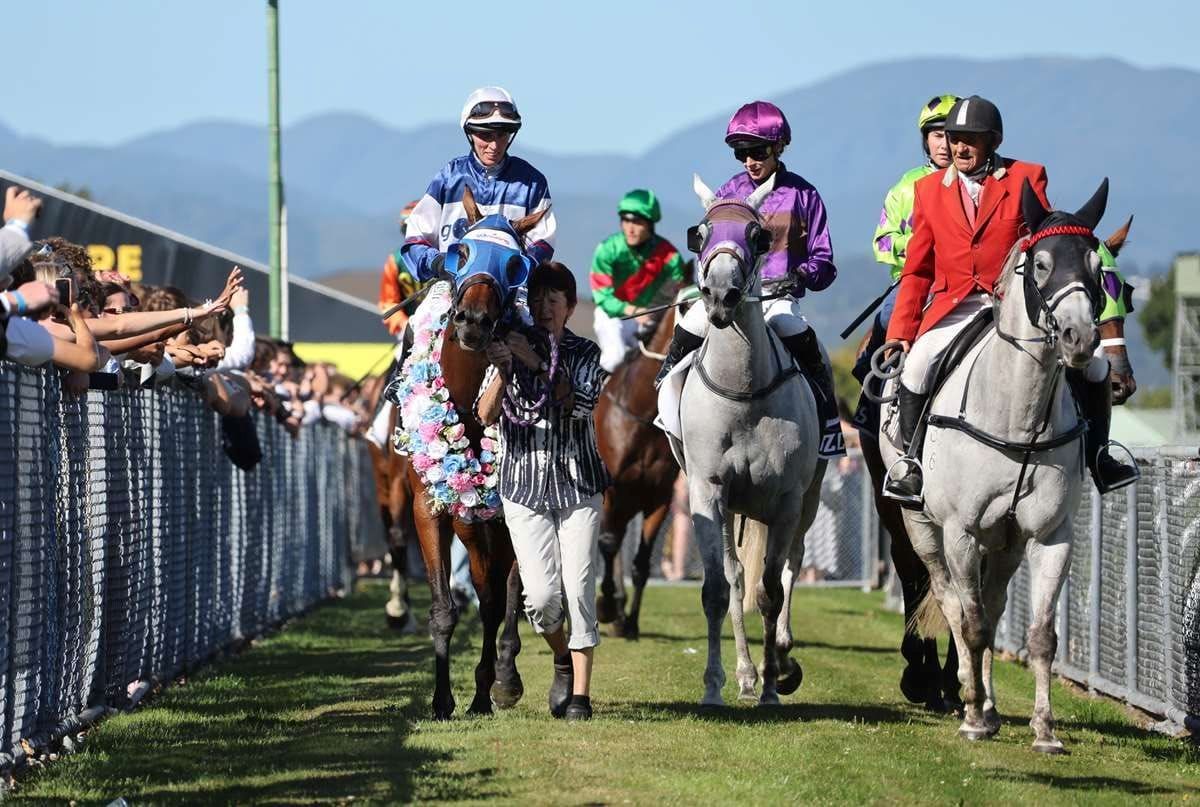 Trentham earmarked for closure under Project Stamina Masterplan