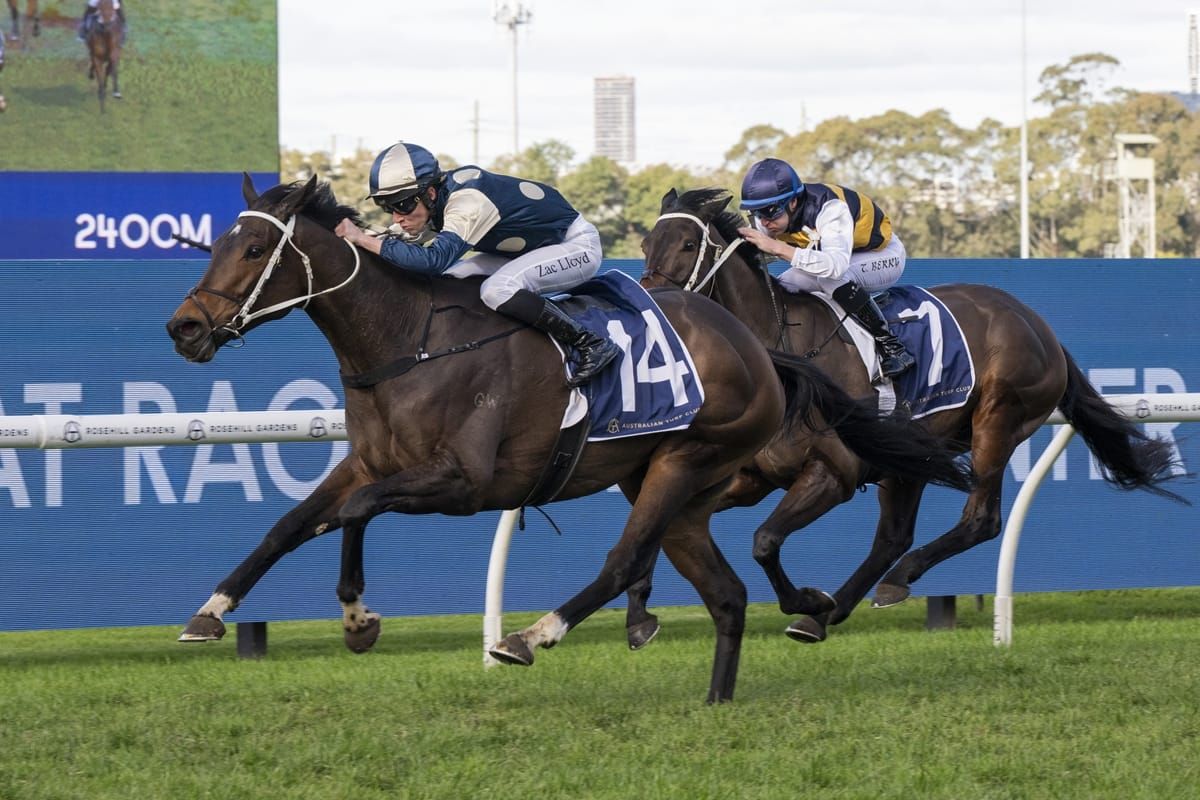 Le Troisir impresses at Rosehill