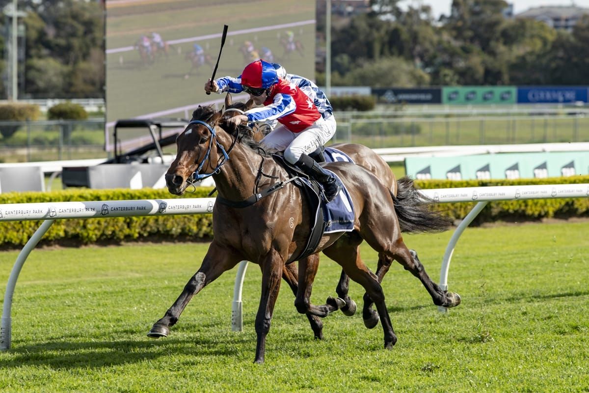 Hello Youmzain 2YO Wins $100,000 Super Maiden