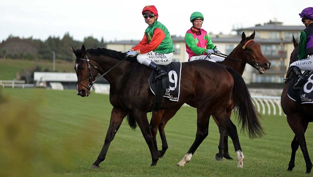Astoria Brooke takes out Te Awamutu Cup