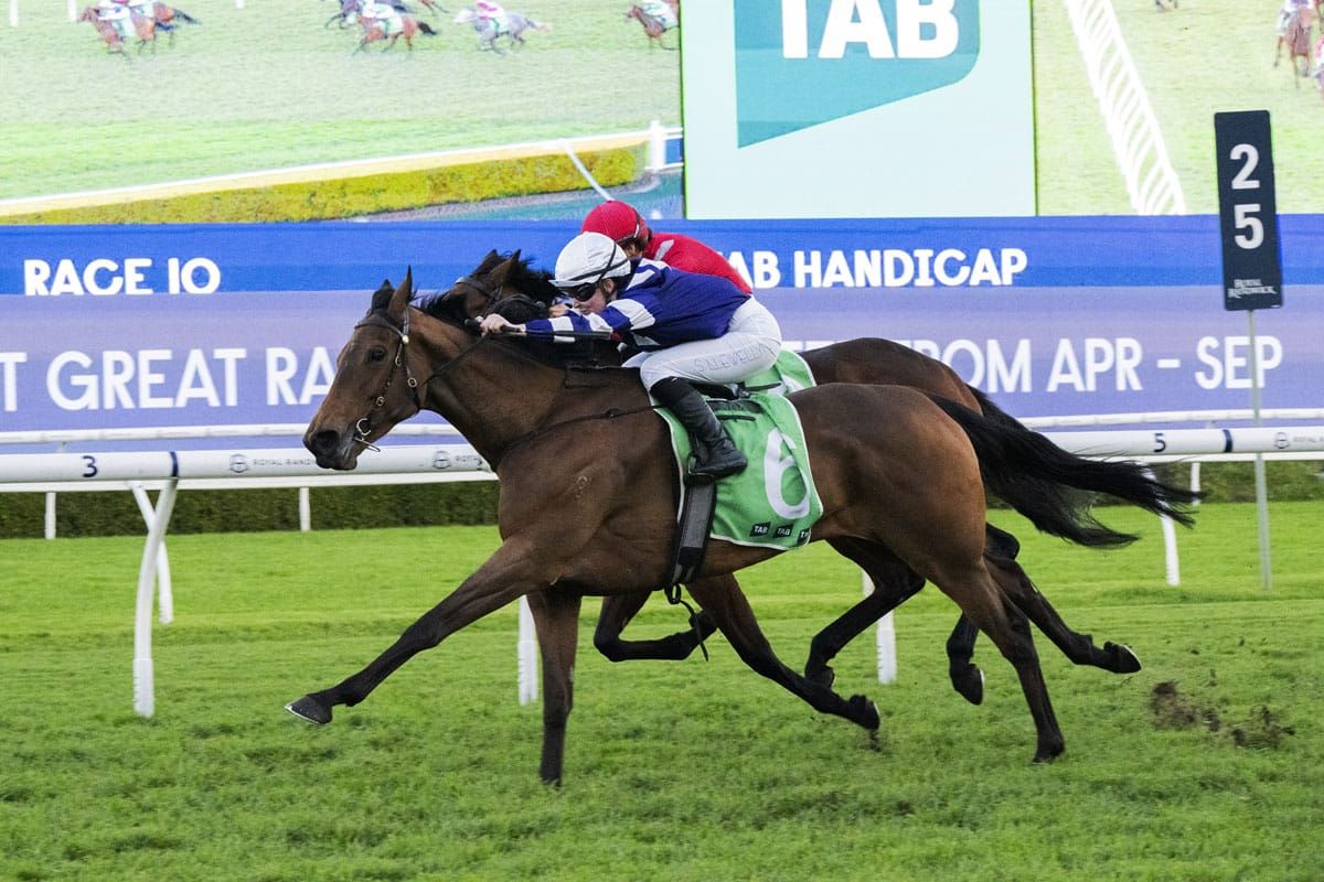 Aroha Stone too strong in Randwick finale