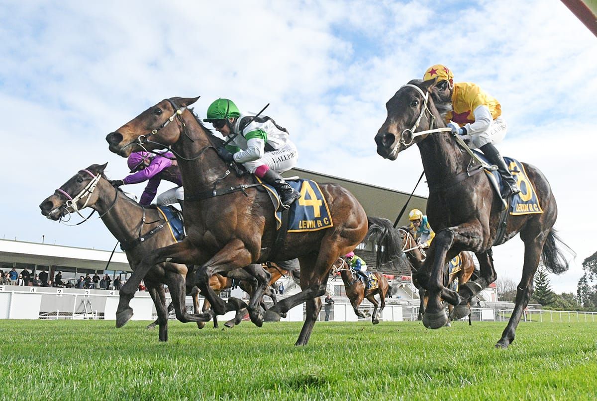 Allpress back on the stakes-winning bus
