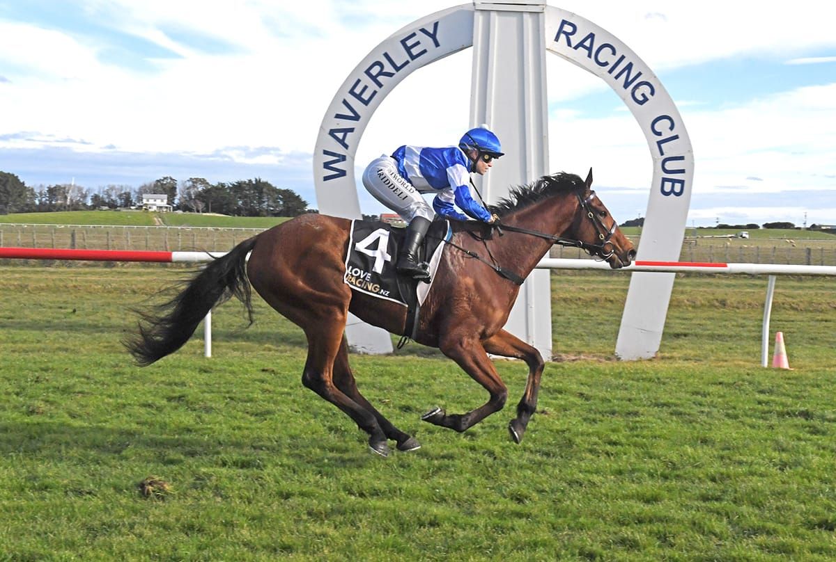 Bonnard bounces back at Waverley