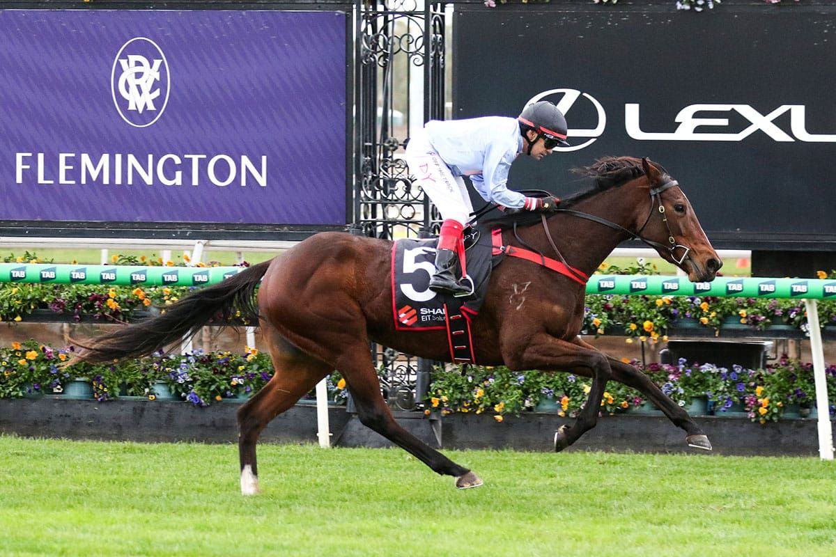 Progressive Brillantezza dominates Mahogany Final