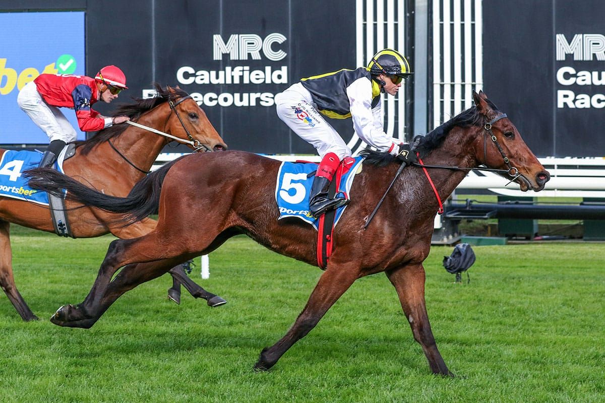Cruiserweight adds Caulfield win to perfect record