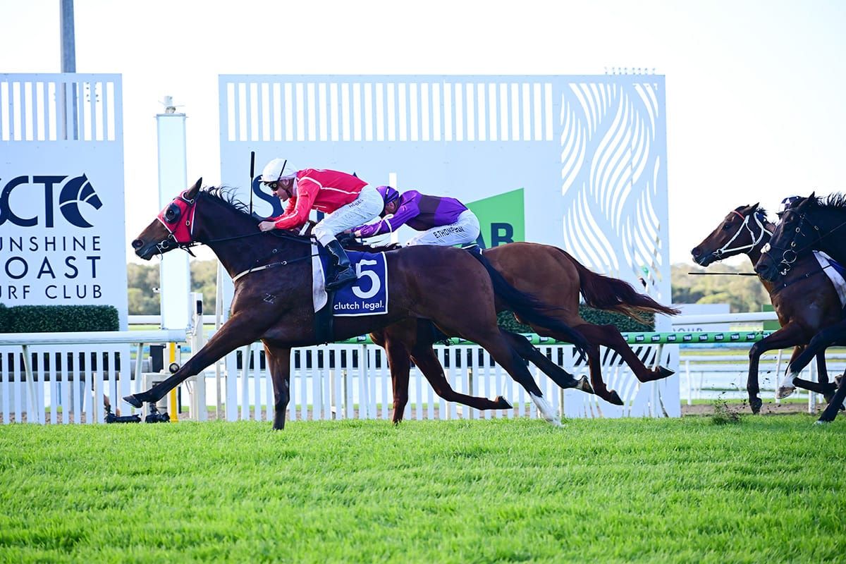Leicester popping Moet following Cellarmaster’s Guineas triumph