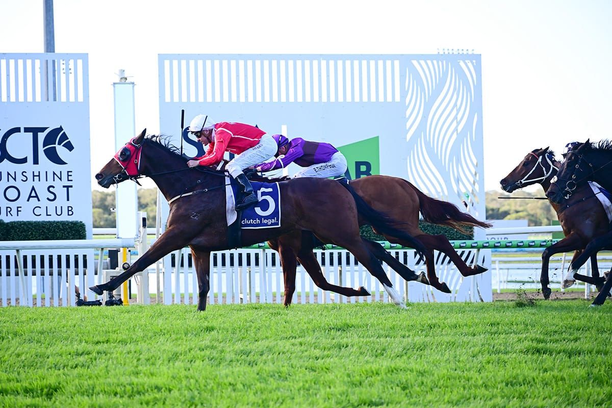 Cellarmaster storms home to claim Winx Guineas