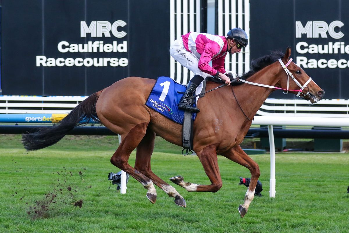 Cosmic Crusader shines in Melbourne debut
