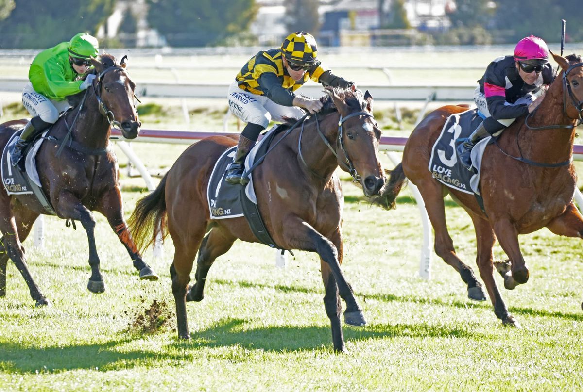 Well-bred filly delivers on debut