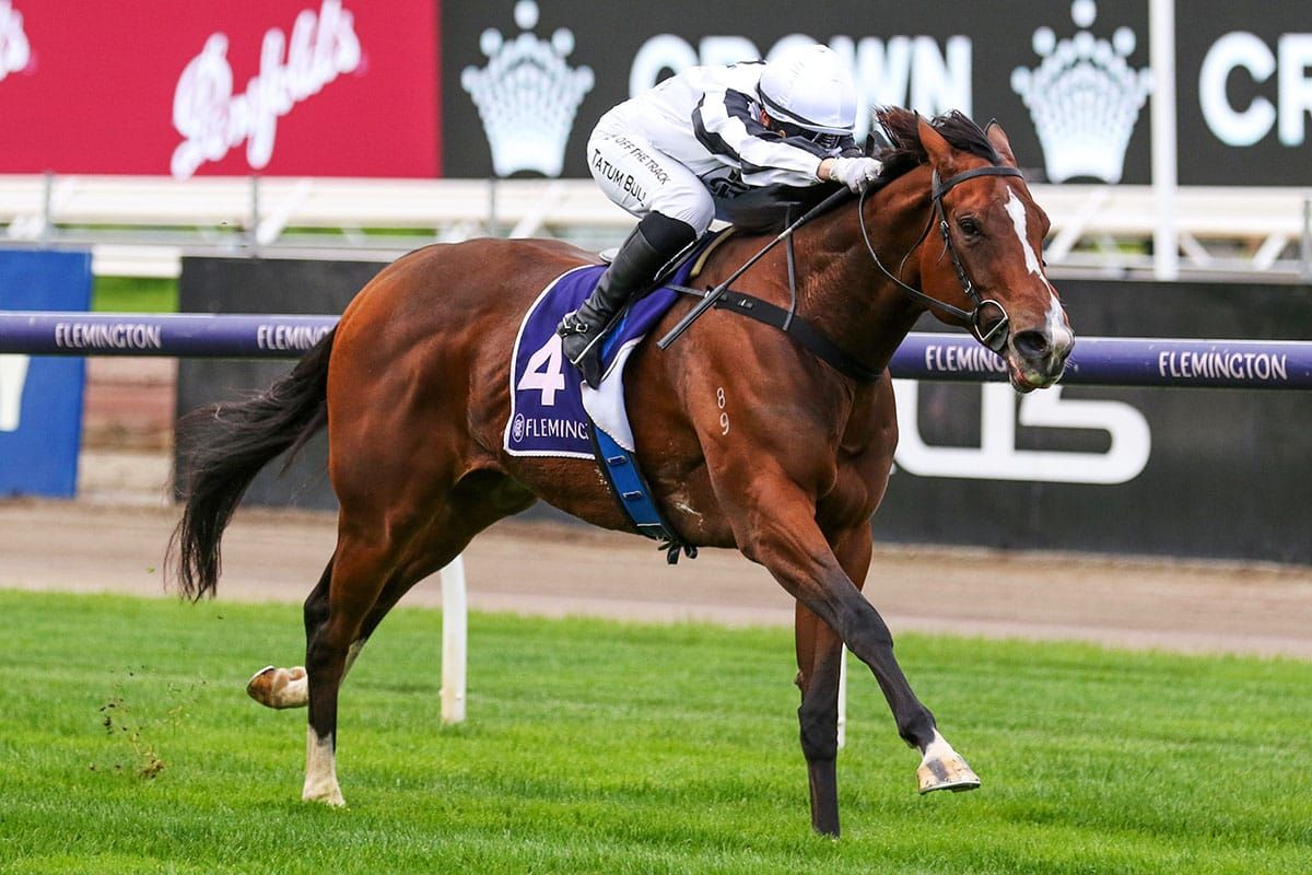 Fancify after more Black Type at Flemington