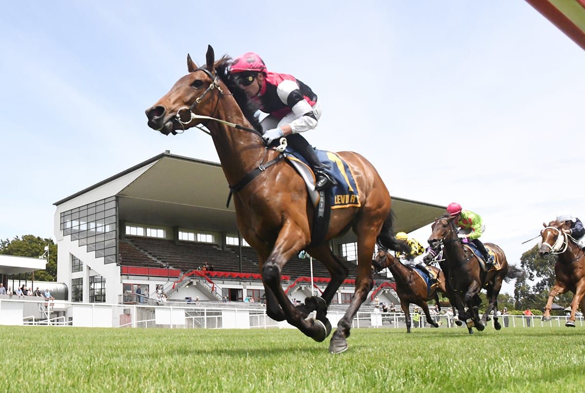 New trainer and new targets for Freddie Time