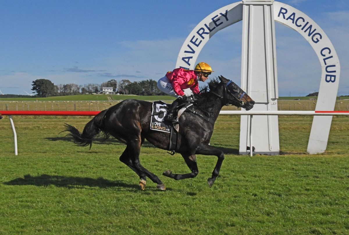 Special victory for family mare at Waverley