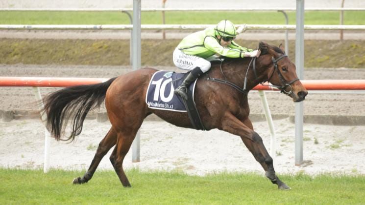 Diva fronts stable’s two-year-old challenge