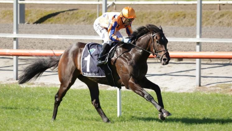 Promising juvenile seeking to join Te Akau stakes Honour Roll