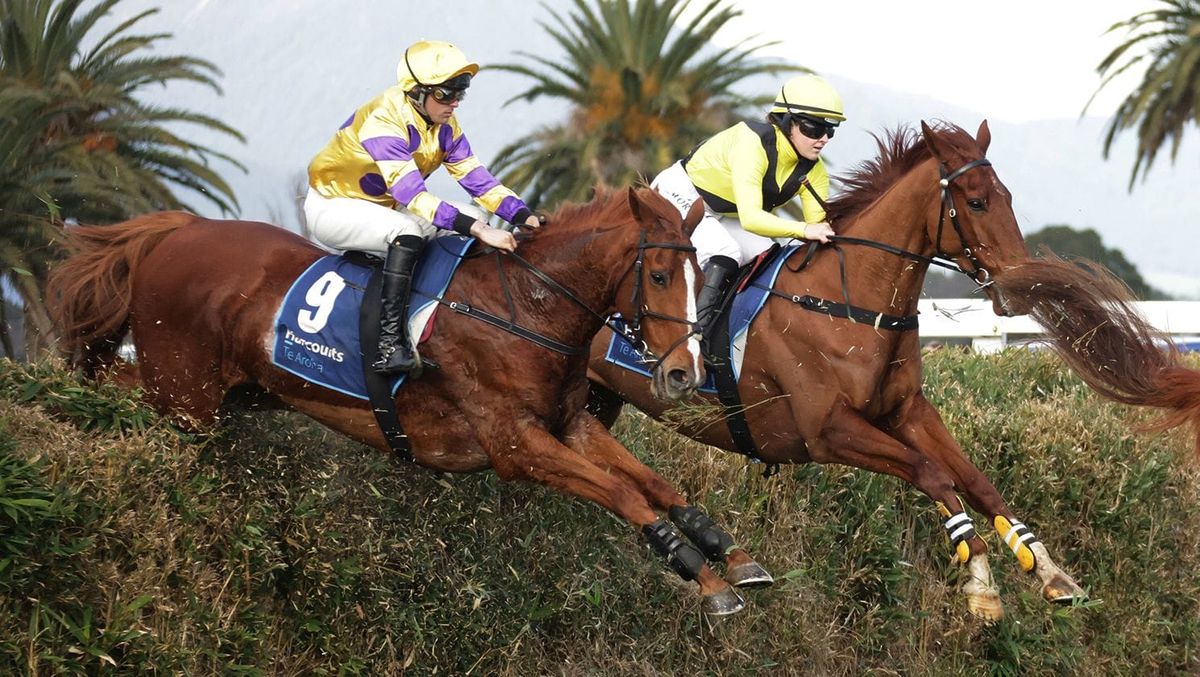 Jerricoop impressive in steeplechasing debut