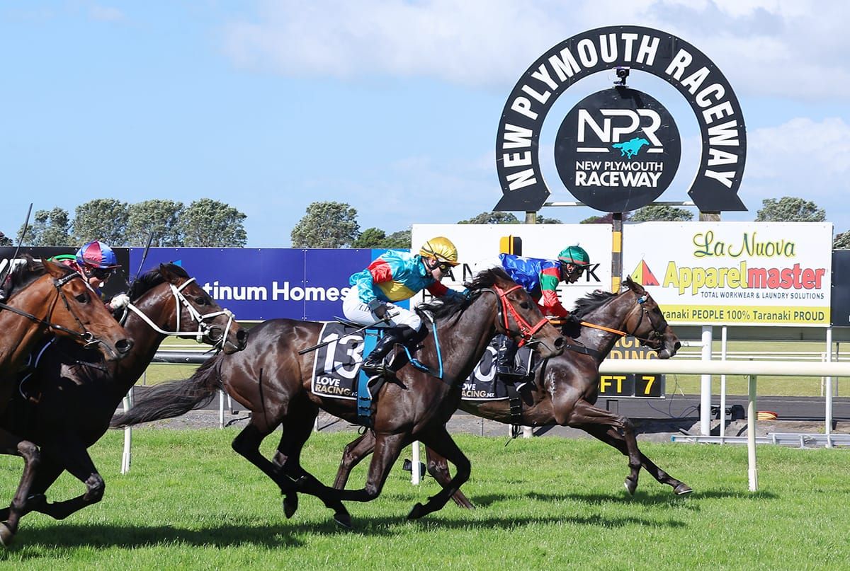 Stablemates in good touch for Taranaki return