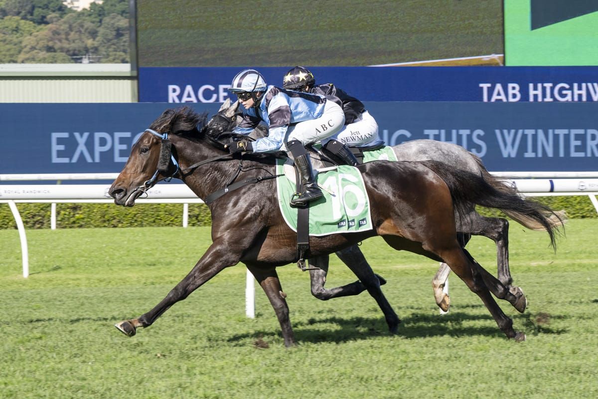 Leovanni lands Highway win