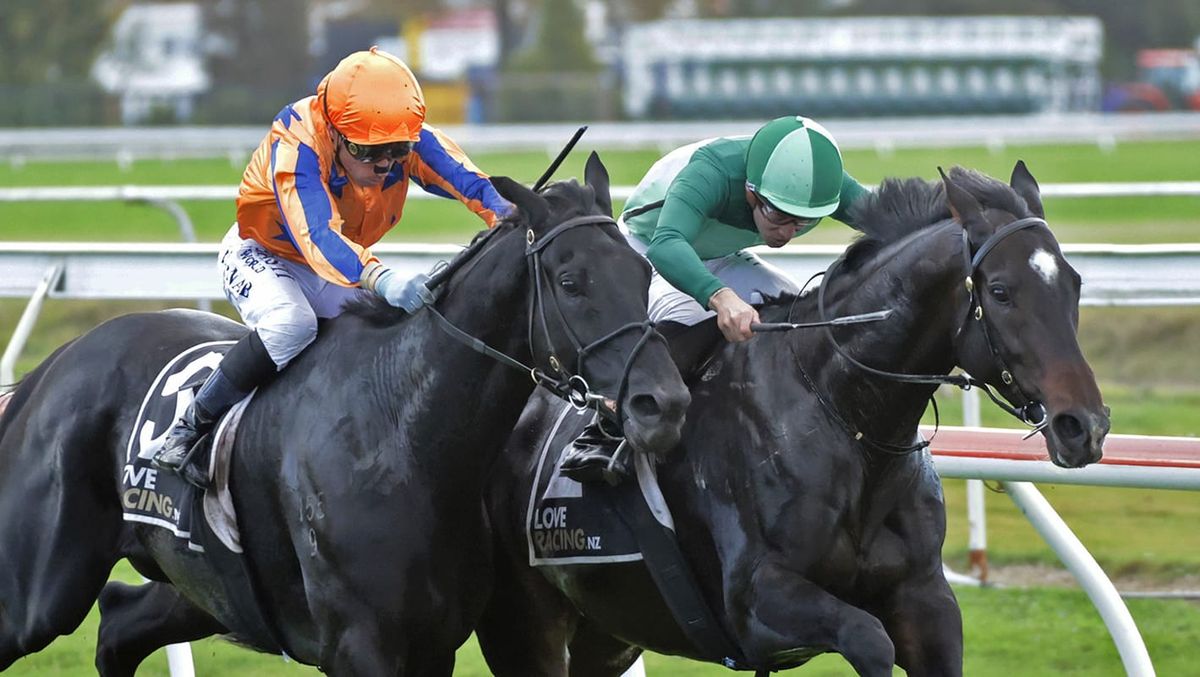 Slow burner Pacifico aiming for winning Cup send-off