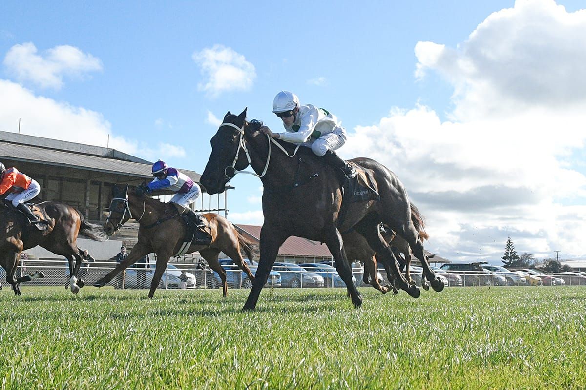 Gordon chasing stakes success with Gavelhouse pair